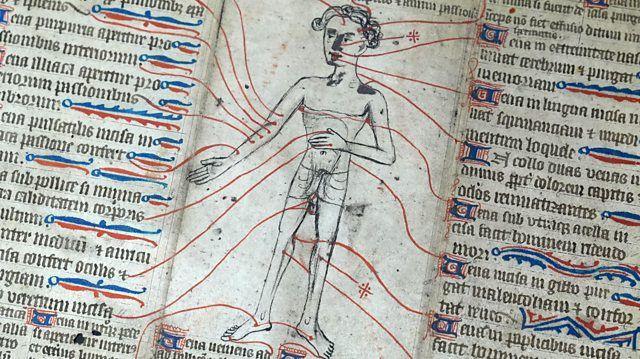 Manuscrito do século 14 com a figura de um corpo humano e instruções para a realização de sangria
