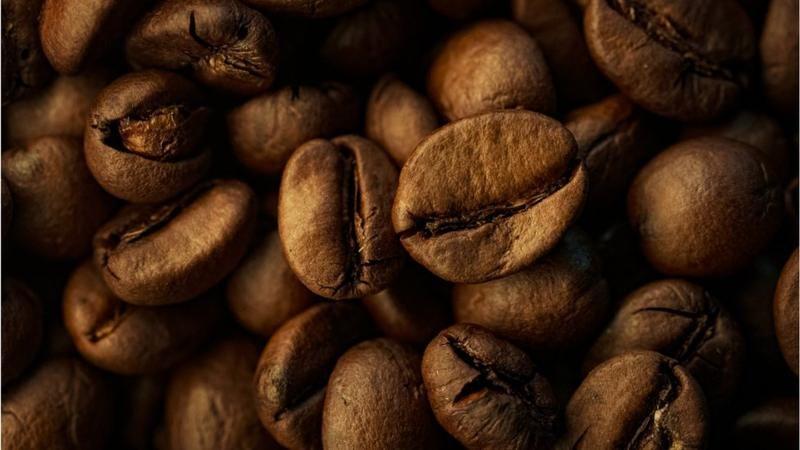 kafa