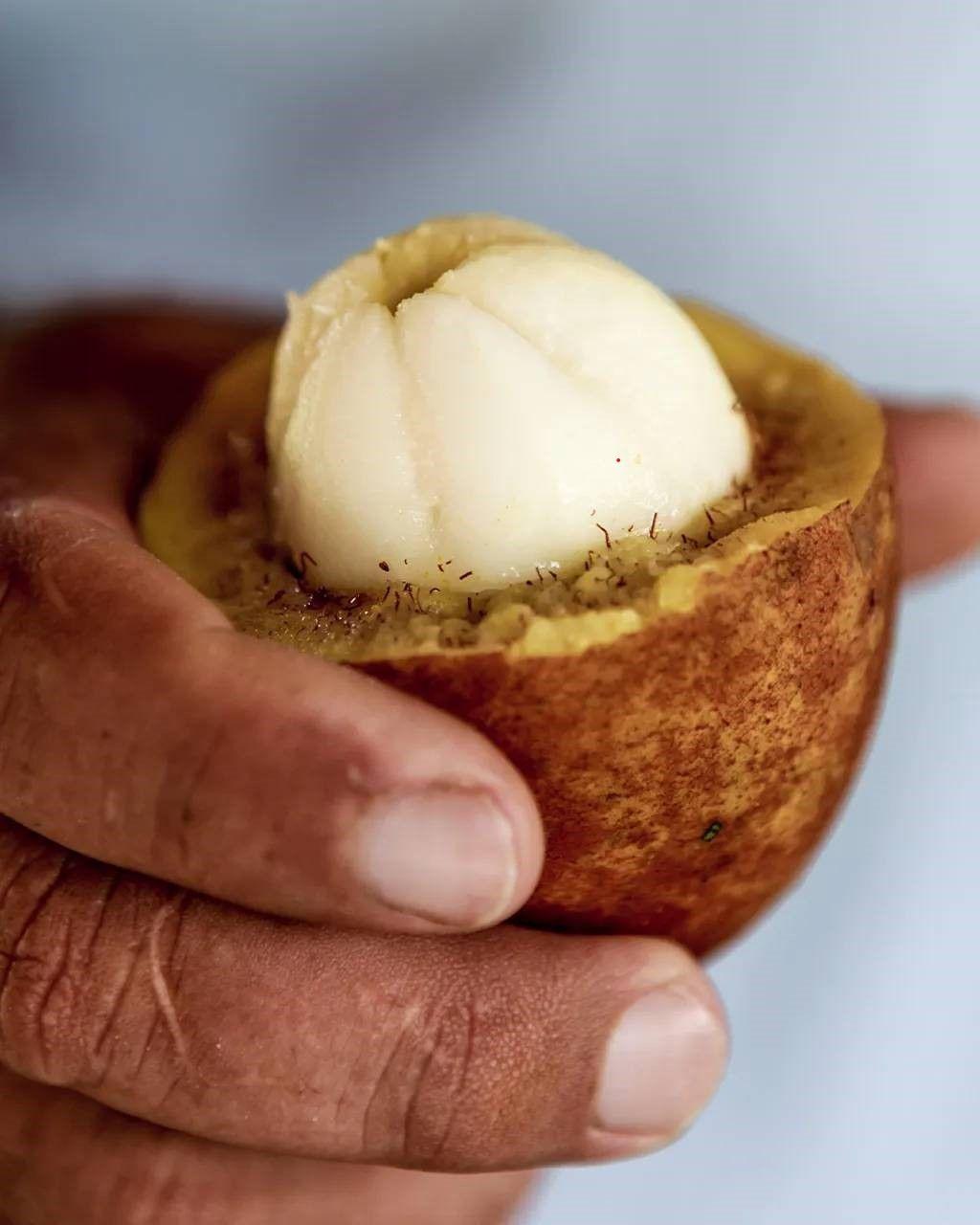 Cupuaçu