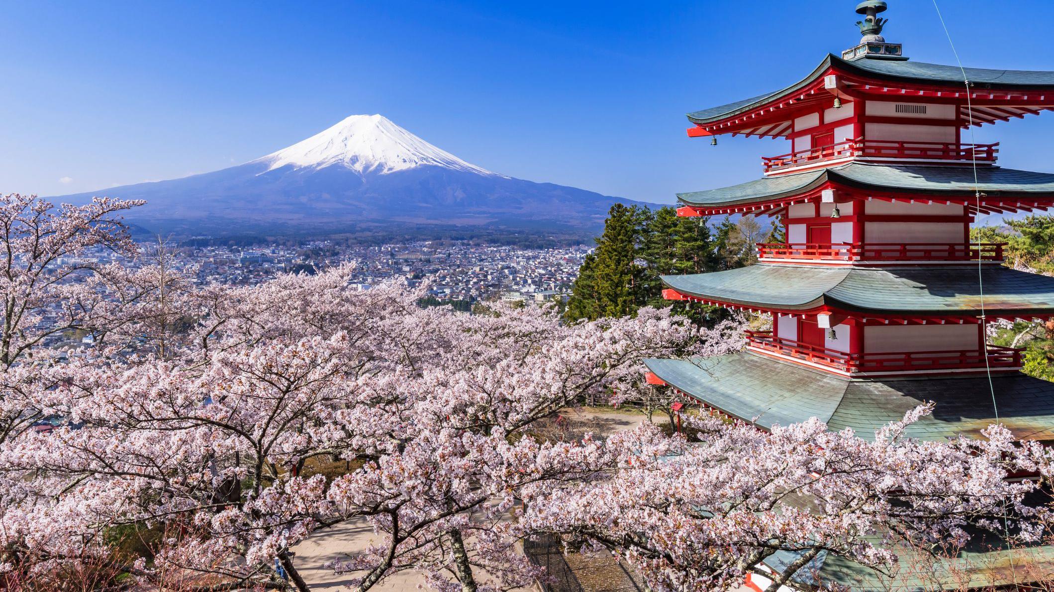 Pagode cercado de cerejeiras em flor, com o monte Fuji ao fundo, em Fujiyoshida, no Jap&atilde;o