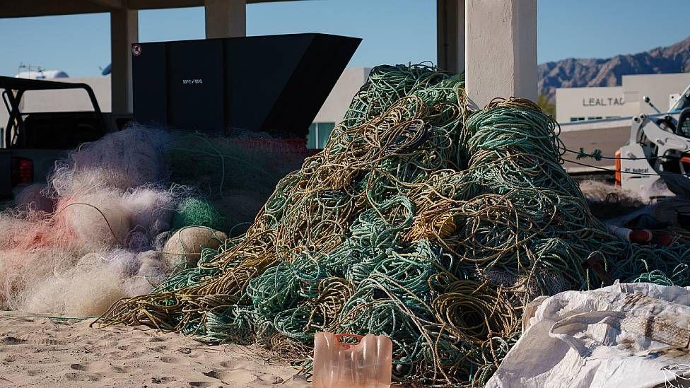 Redes de enmalle que fueron retiradas del Alto Golfo de California