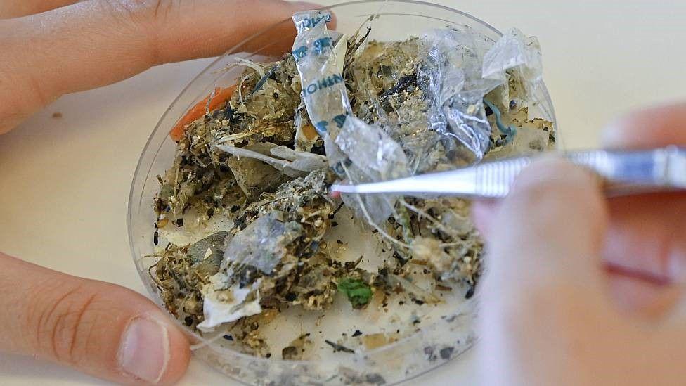 Un científico en Grecia analiza microplásticos hallados en el Mediterráneo