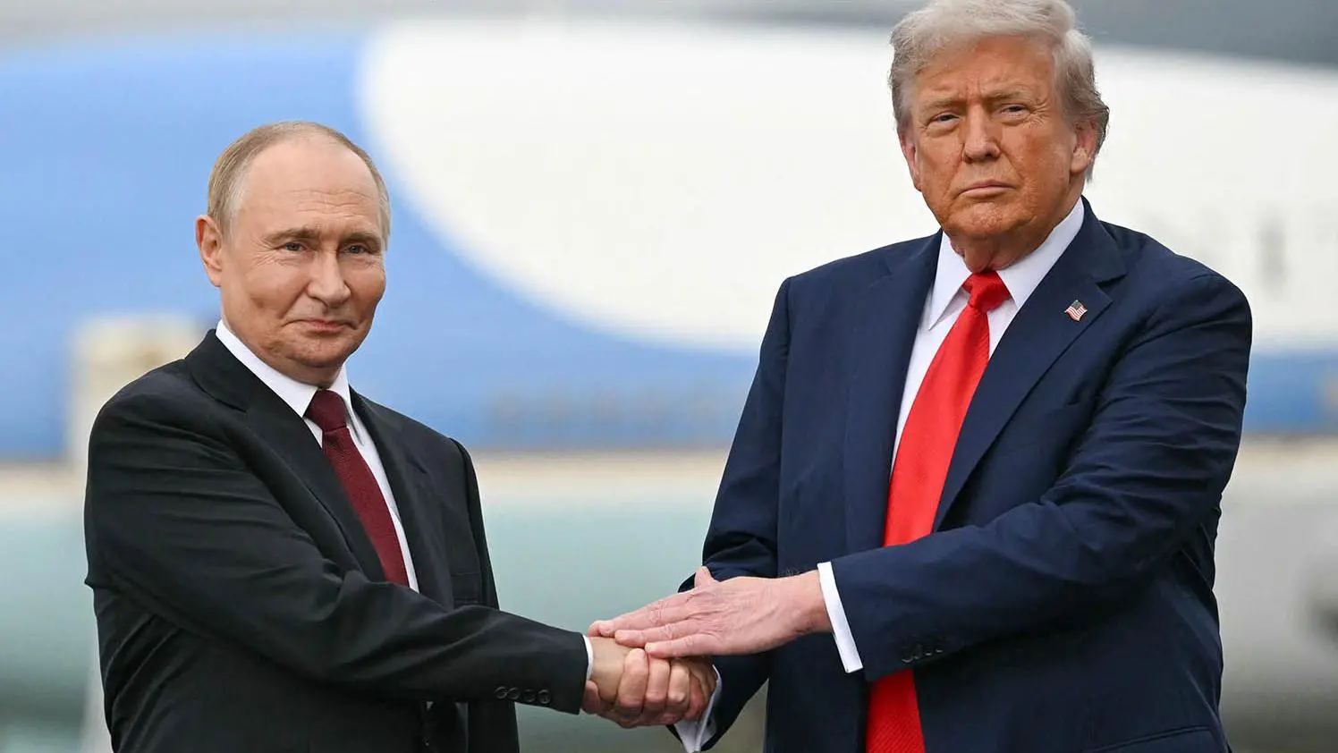 ������ ������ �������� ������ ����� ������ ������ �������� �����
