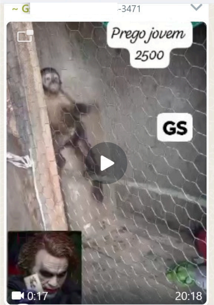 Macaco prego é anunciado em grupo de Whatsapp