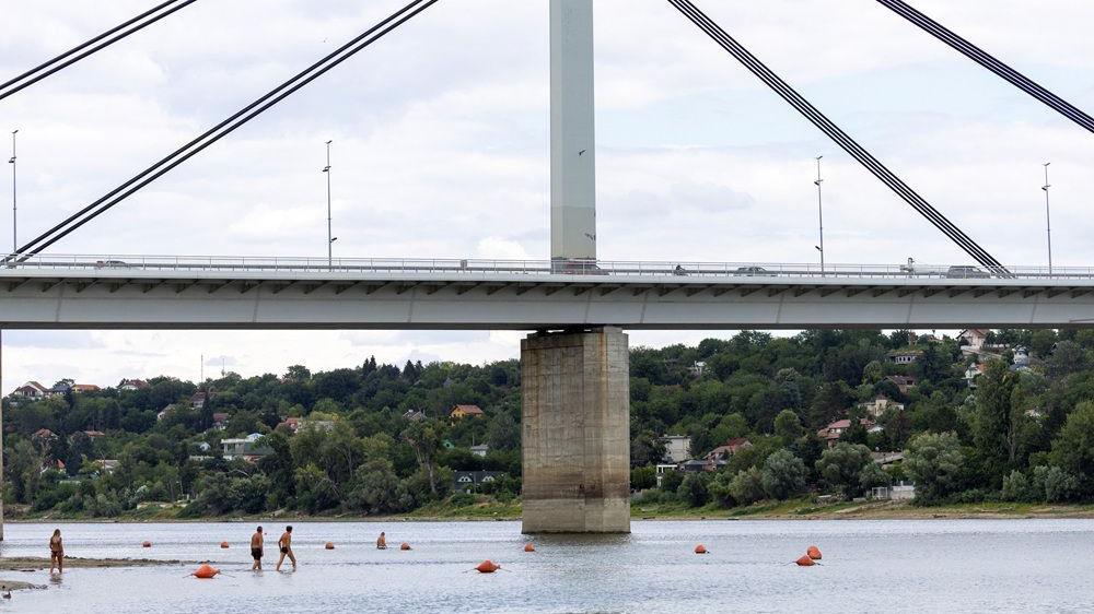 dunav, nizak vodostaj dunava, dunav kod novog sada