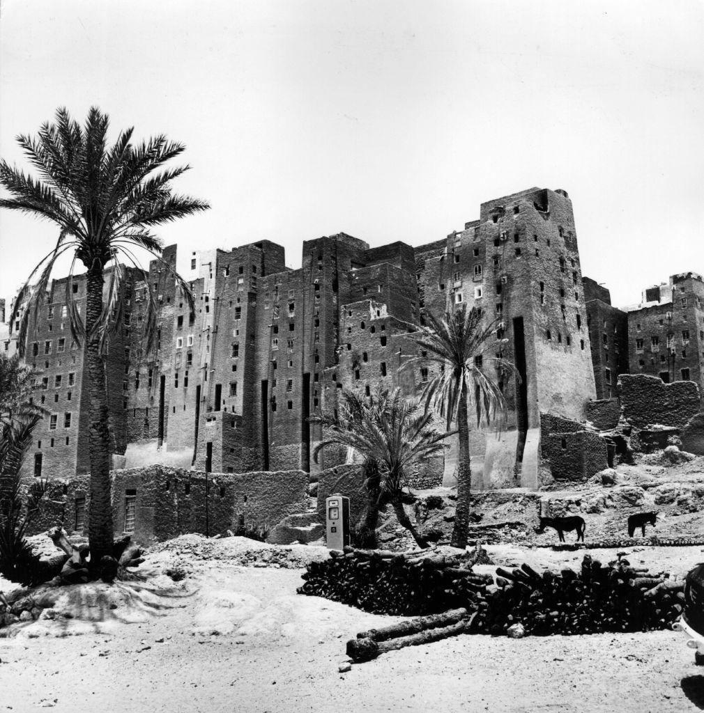 صورة تعود لعام 1950 لناطحات سحاب من الطوب اللبن تلوح في الأفق في شبام بحضرموت