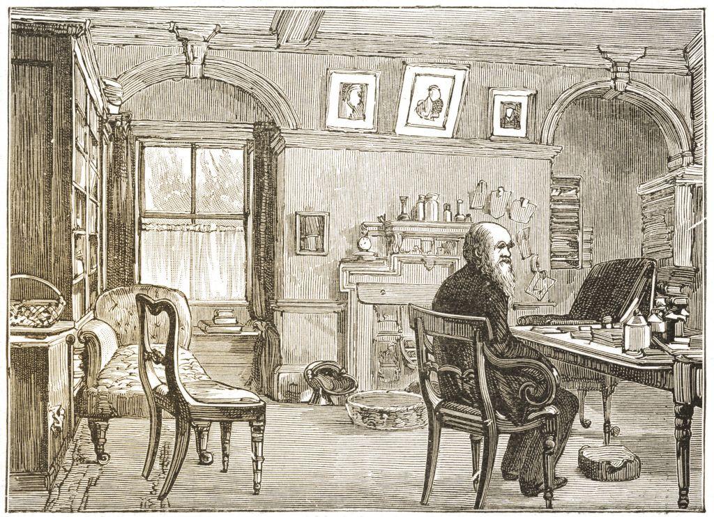 Ilustración de Darwin sentado frente a su escritorio en su estudio en la casa en Kent.