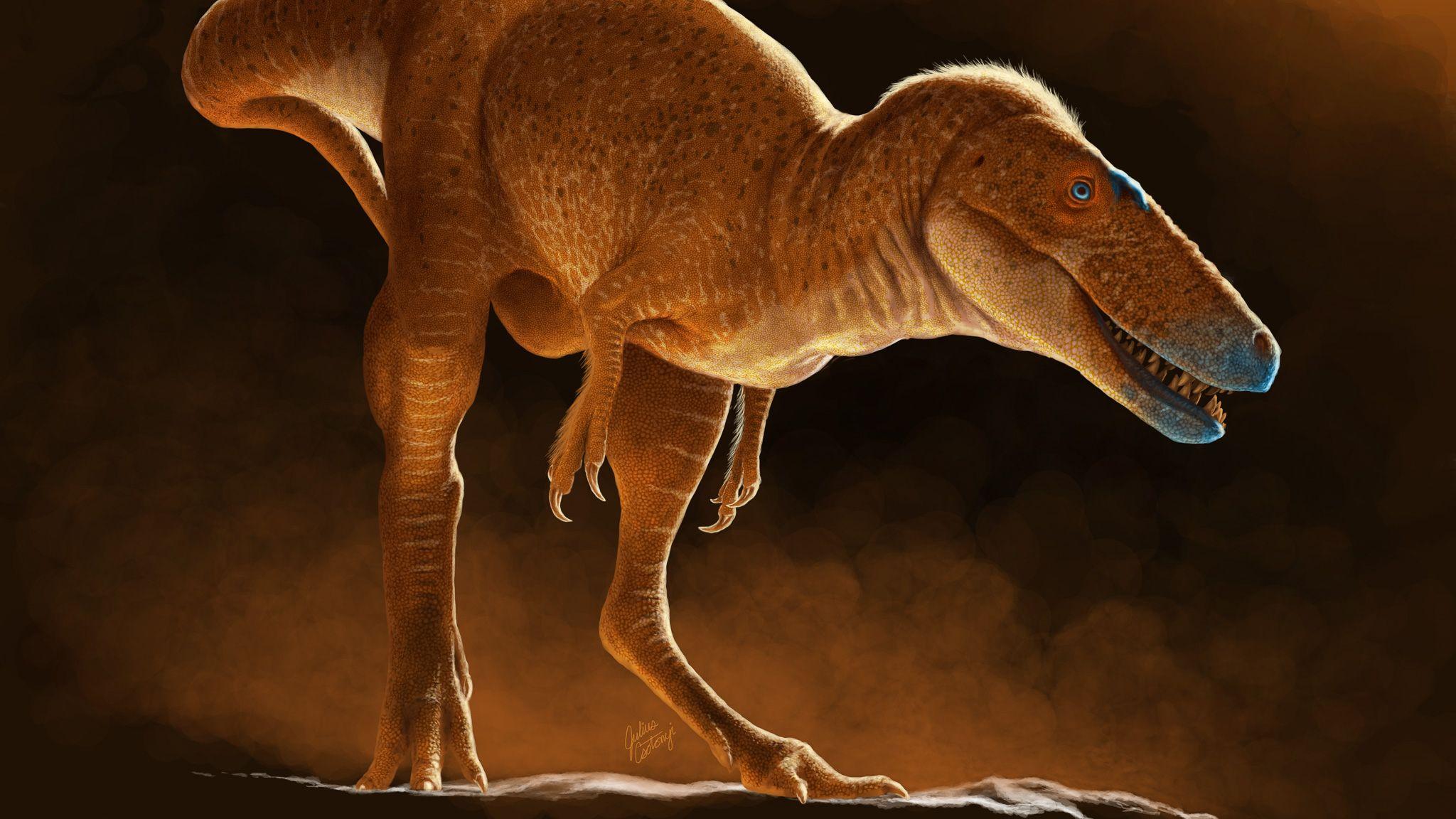 New species of dinosaur discovered that rewrites T.rex family tree