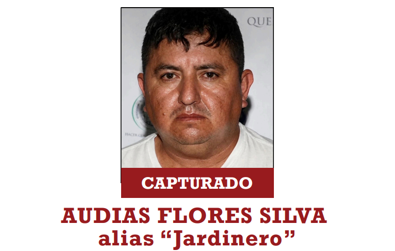 Ficha de Audias Flores Silva