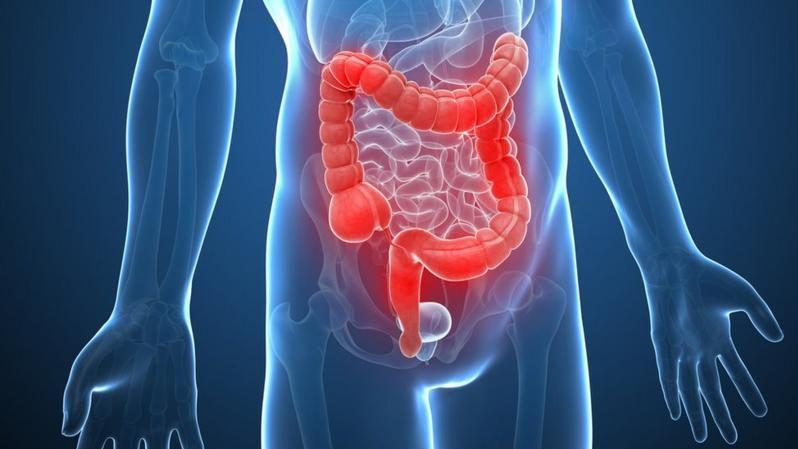 Imagen del cuerpo humano 