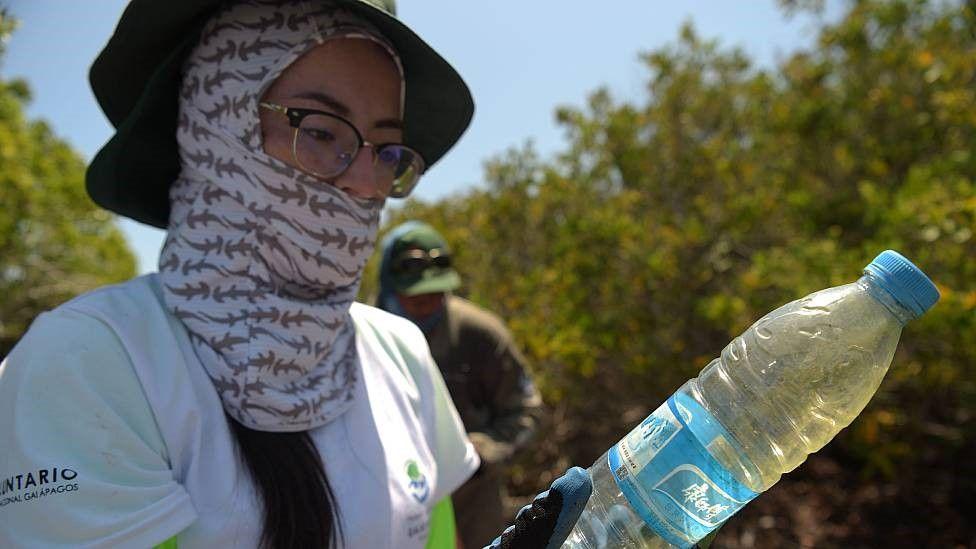 Una voluntaria recoge botellas plásticas en las Islas Galápagos