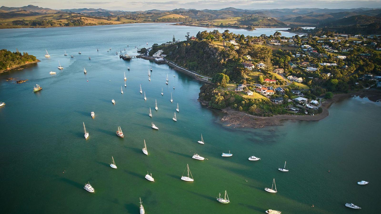 Una vista aérea de una península con casas entre las colinas y árboles verdes y decenas de barcos veleros navegando desde el muelle hacia el mar abierto