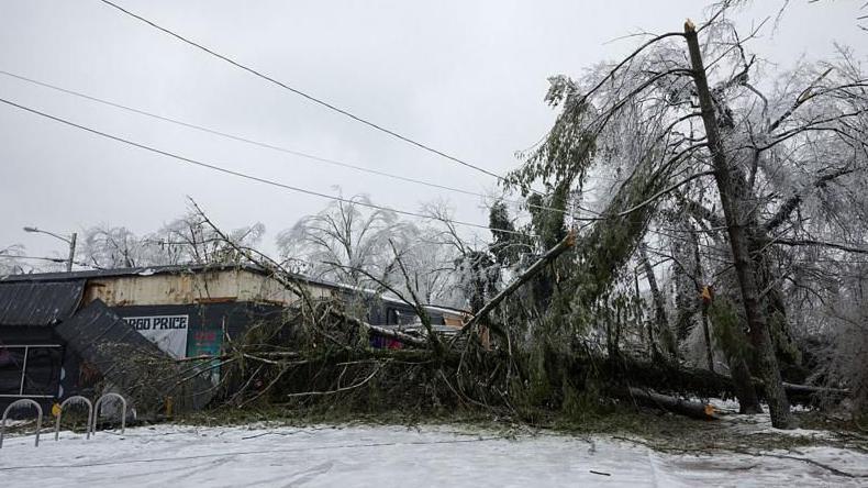 En Nashville, Tennessee, un árbol cayó cerca de cables eléctricos durante la tormenta del fin de semana.