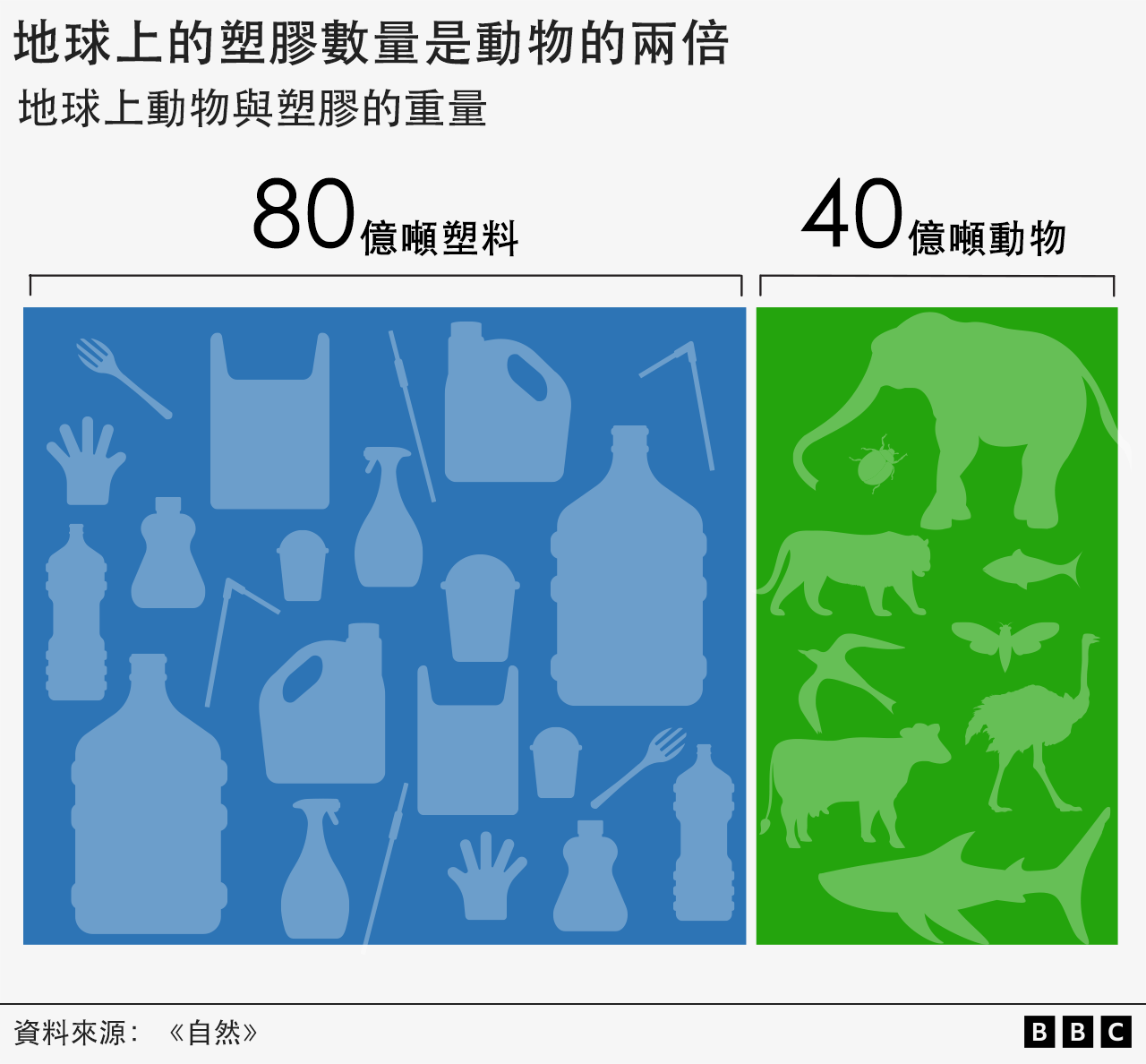 圖表顯示，全球有40億噸動物與80億噸塑料。