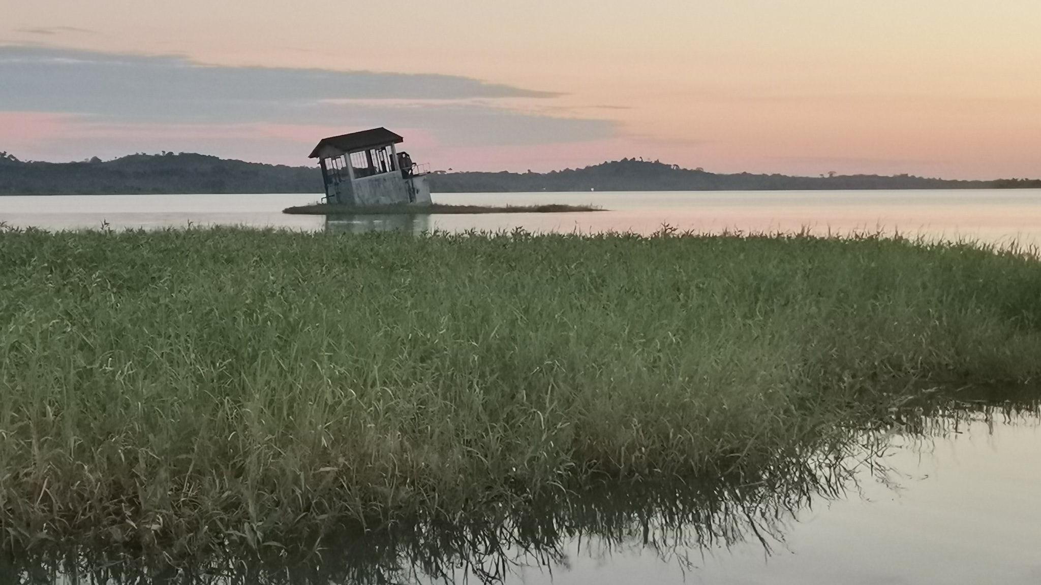 Casa hundiéndose en Fordlandia, en el amazonas brasileño.