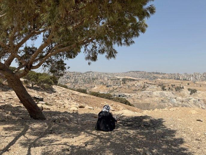 يظهر في الصورة أبو عماد من الخلف مستظلاً بشجرة، ومرتدياً زياً تقليدياً بلون أسود وعلى رأسه الكوفية الفلسطينية، بينما ينظر إلى الأمام تجاه القدس.