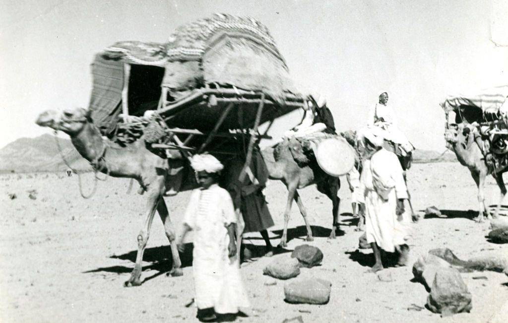 قافله