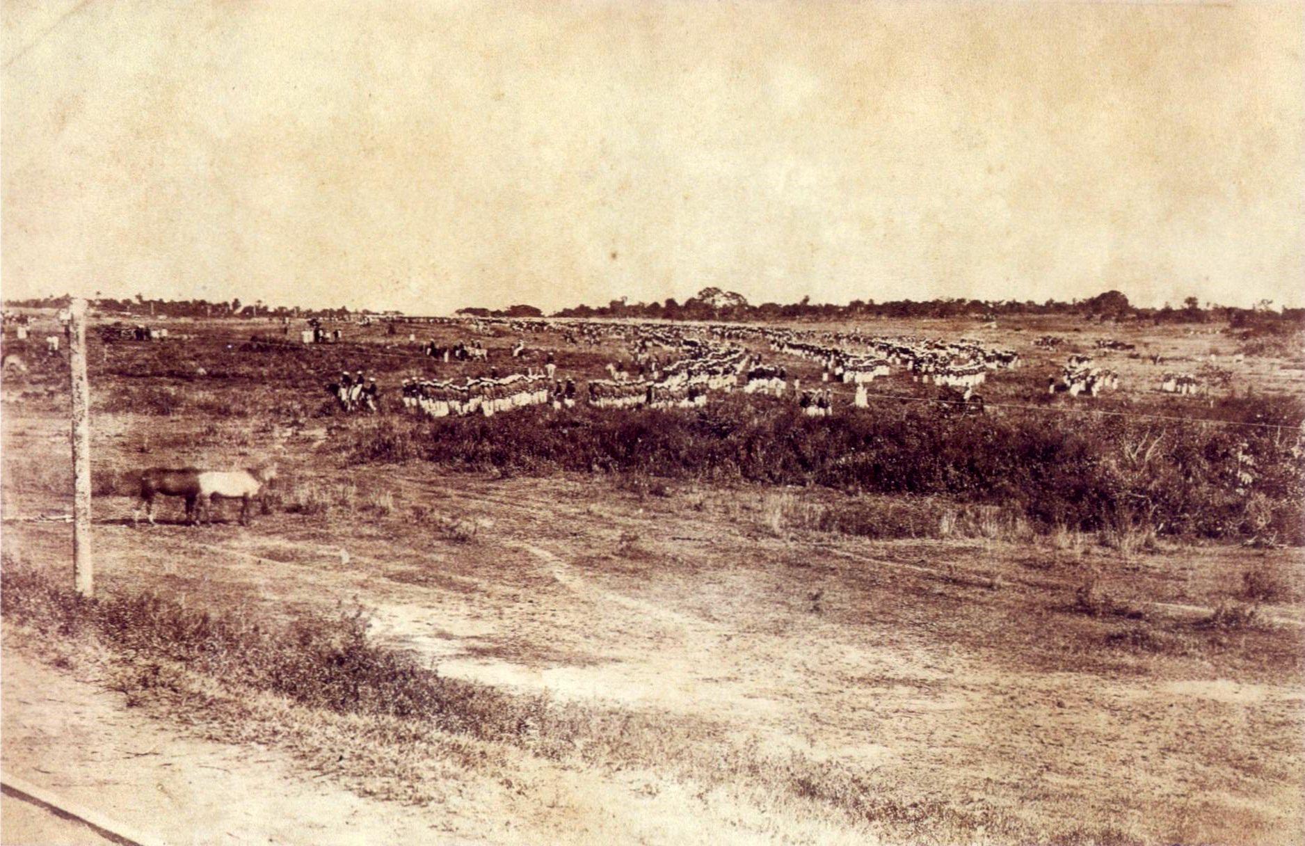 Foto antiga mostra o Ex&eacute;rcito brasileiro na Guerra do Paraguai