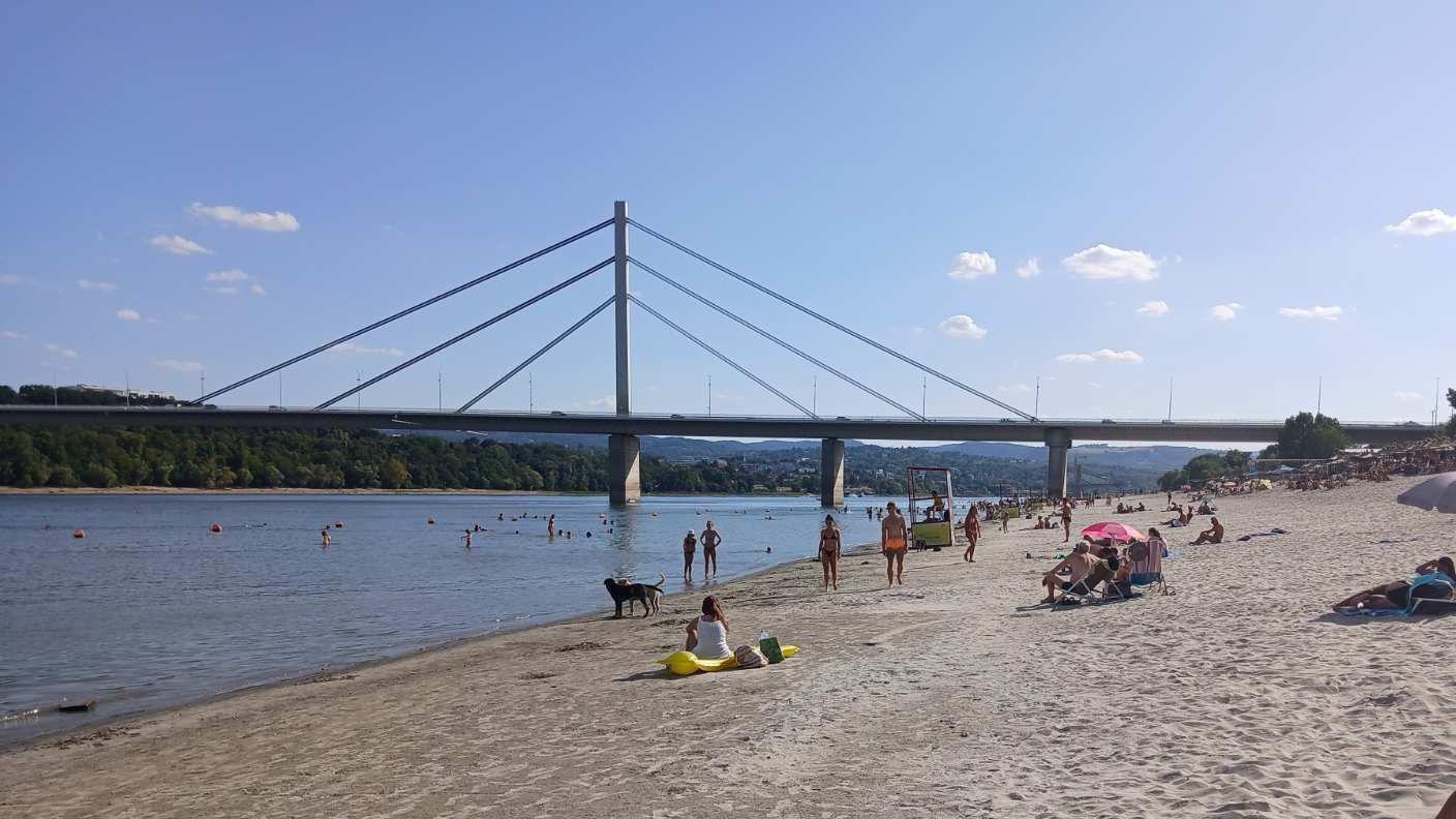dunav, nizak vodostaj dunava, dunav kod novog sada