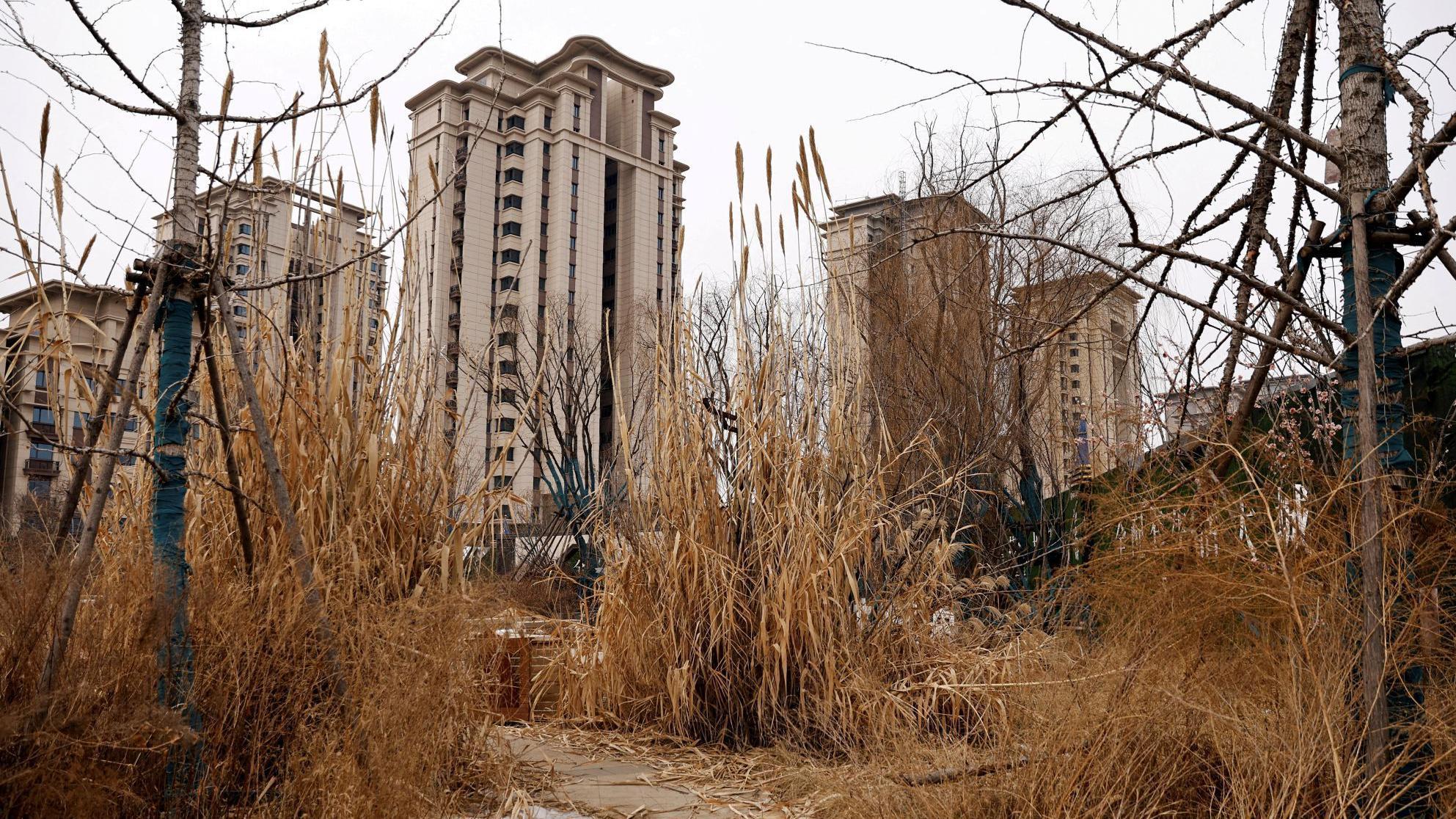 A view of an unfinished residential compound developed by China Evergrande Group in the outskirts of Shijiazhuang, Hebei province, China February 1, 2024.