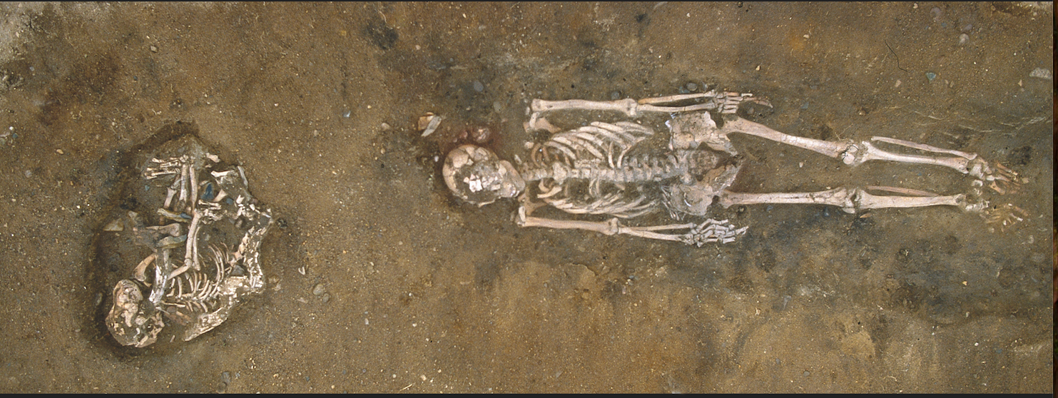 U plitkom grobu leže dva kompletna skeleta: ljudski, ispružen na leđima, i uz njega pas.