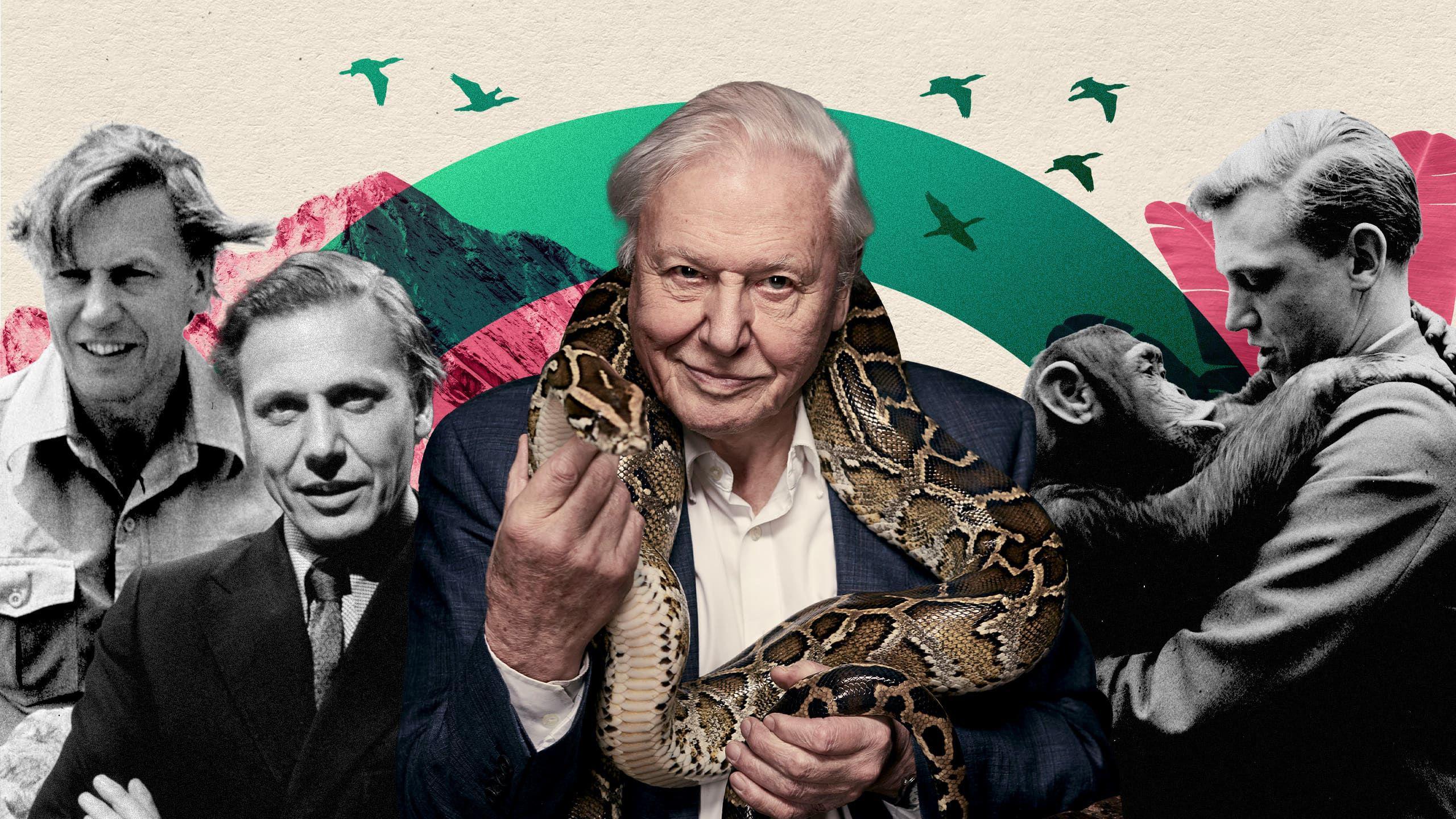 Collage artístico con el retrato reciente de David Attenborough sosteniendo una serpiente, rodeado de retratos suyos de joven en blanco y negro y elementos naturales estilizados.