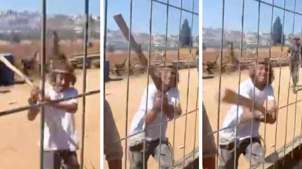 Joven ataca una reja en medio de Cisjordania con un palo