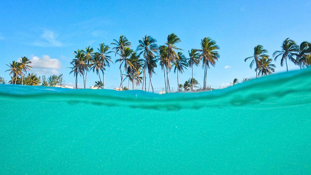 Agua turquesa en primer plano y en el fondo, palmeras de una isla tropical