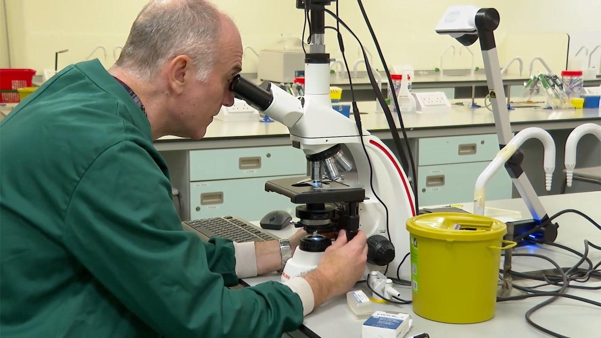 Čovek u zelenom laboratorijskom mantilu sedi za laboratorijskim stolom i gleda u mikroskop. Na radnoj površini su žice i druga laboratorijska oprema, među kojima i žuta posuda. U pozadini se vide ormarići.