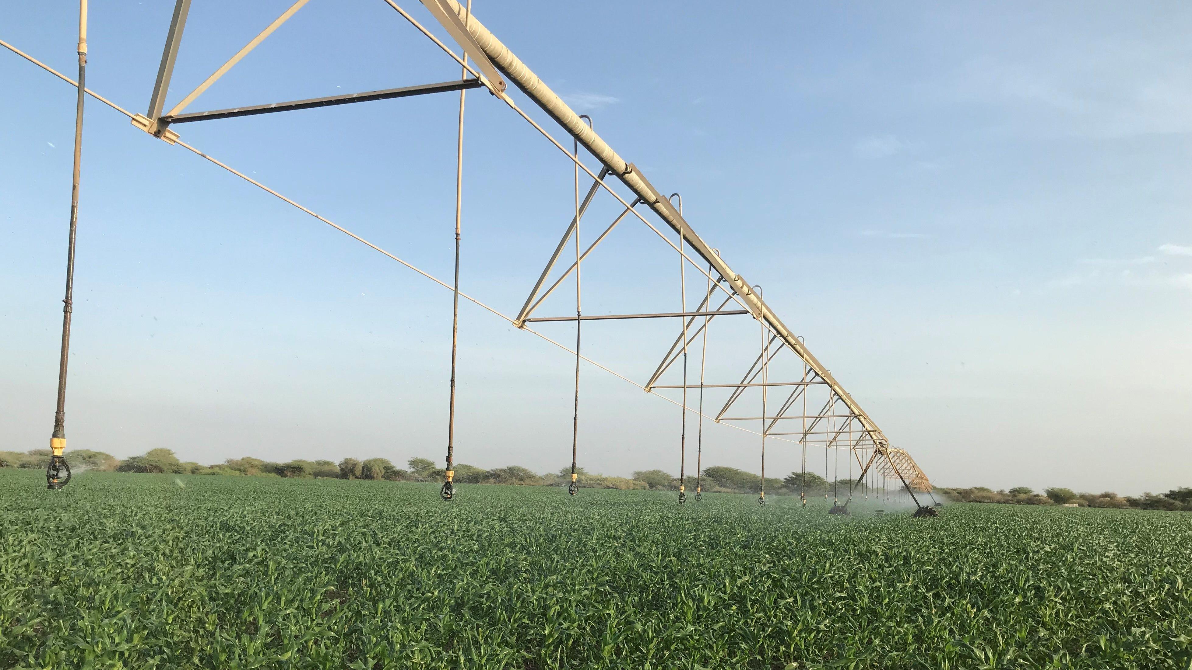 ري المحاصيل في مزرعة بارفوتس