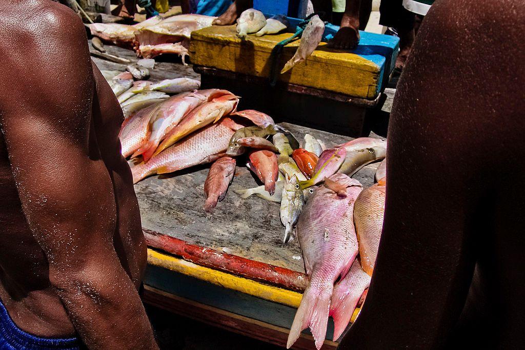 Torso de pescadores em primeiro plano e, ao fundo, peixes sobre uma embarcação