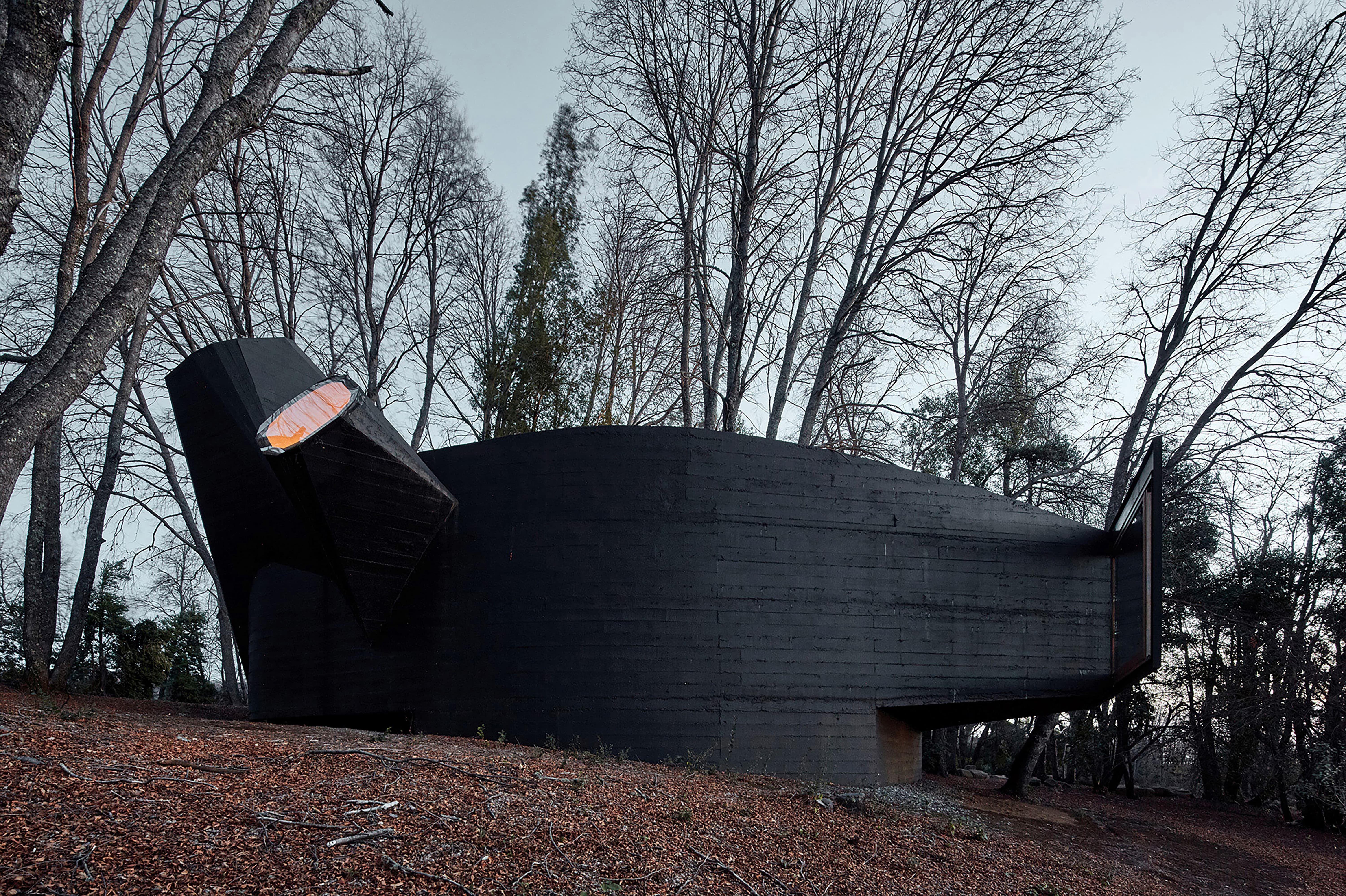 Estructura oscura de formas curvas y volumen inclinado, ubicada en un bosque de árboles altos y sin hojas.