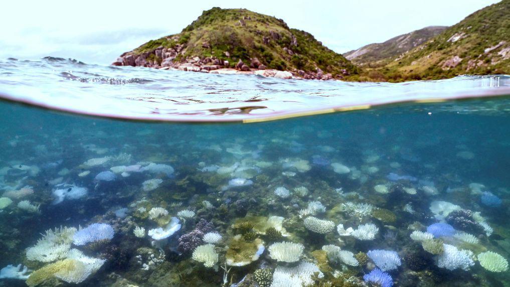 Gran Barrera de Coral en Australia