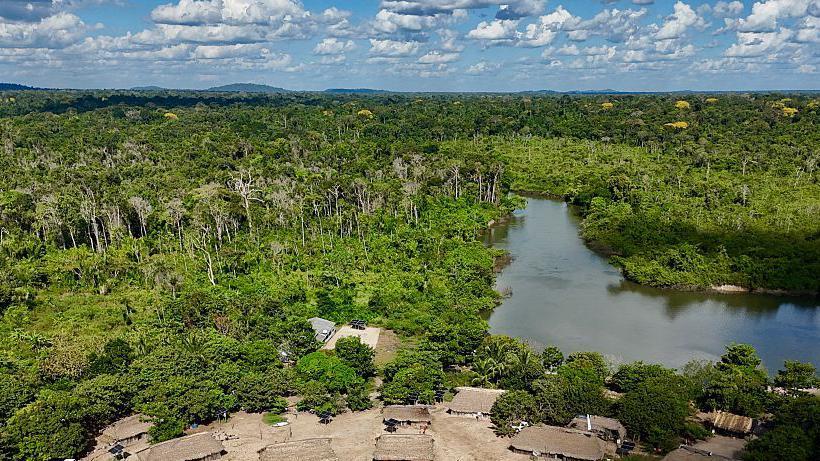 Brazils Amazon sees sharp decline in size of area burned in 2025