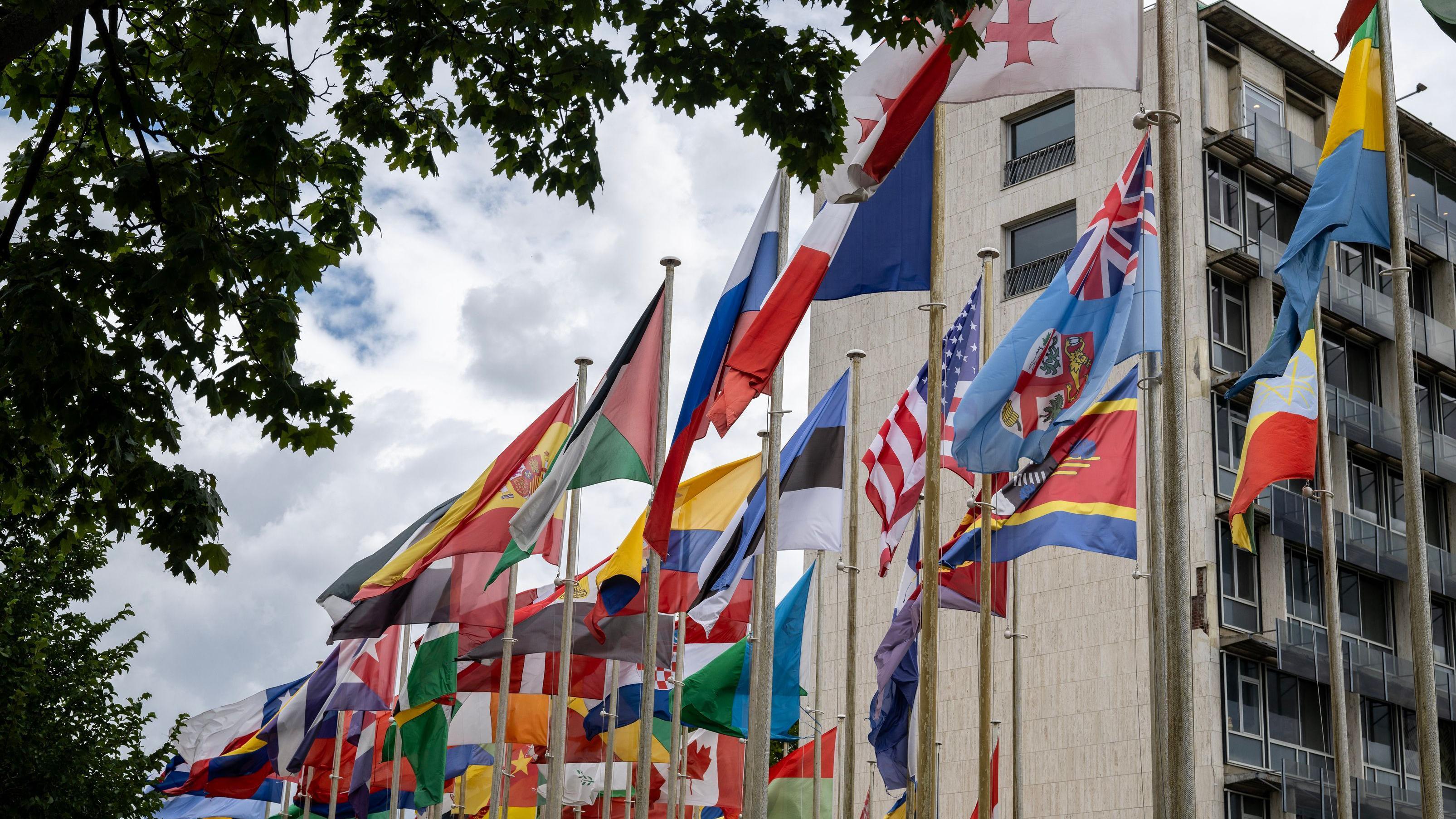 تُظهر هذه الصورة، التي التُقطت في 23 يوليو/تموز 2025، أعلاماً ترفرف أمام مقر منظمة الأمم المتحدة للتربية والعلم والثقافة (يونسكو) في باريس.