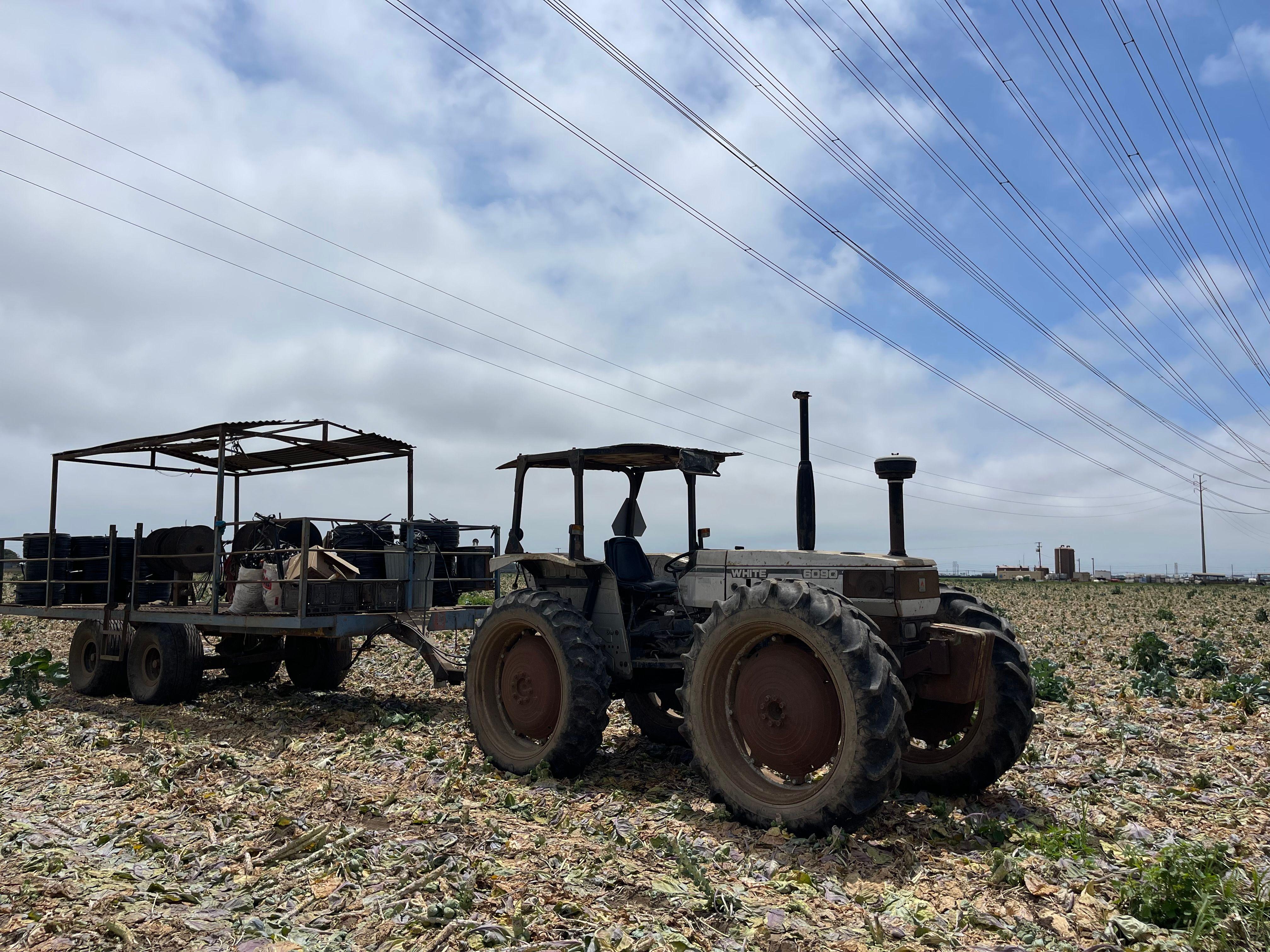 Un tractor en un campo de Oxnard, California, Estados Unidos, el 11 de junio de 2025.