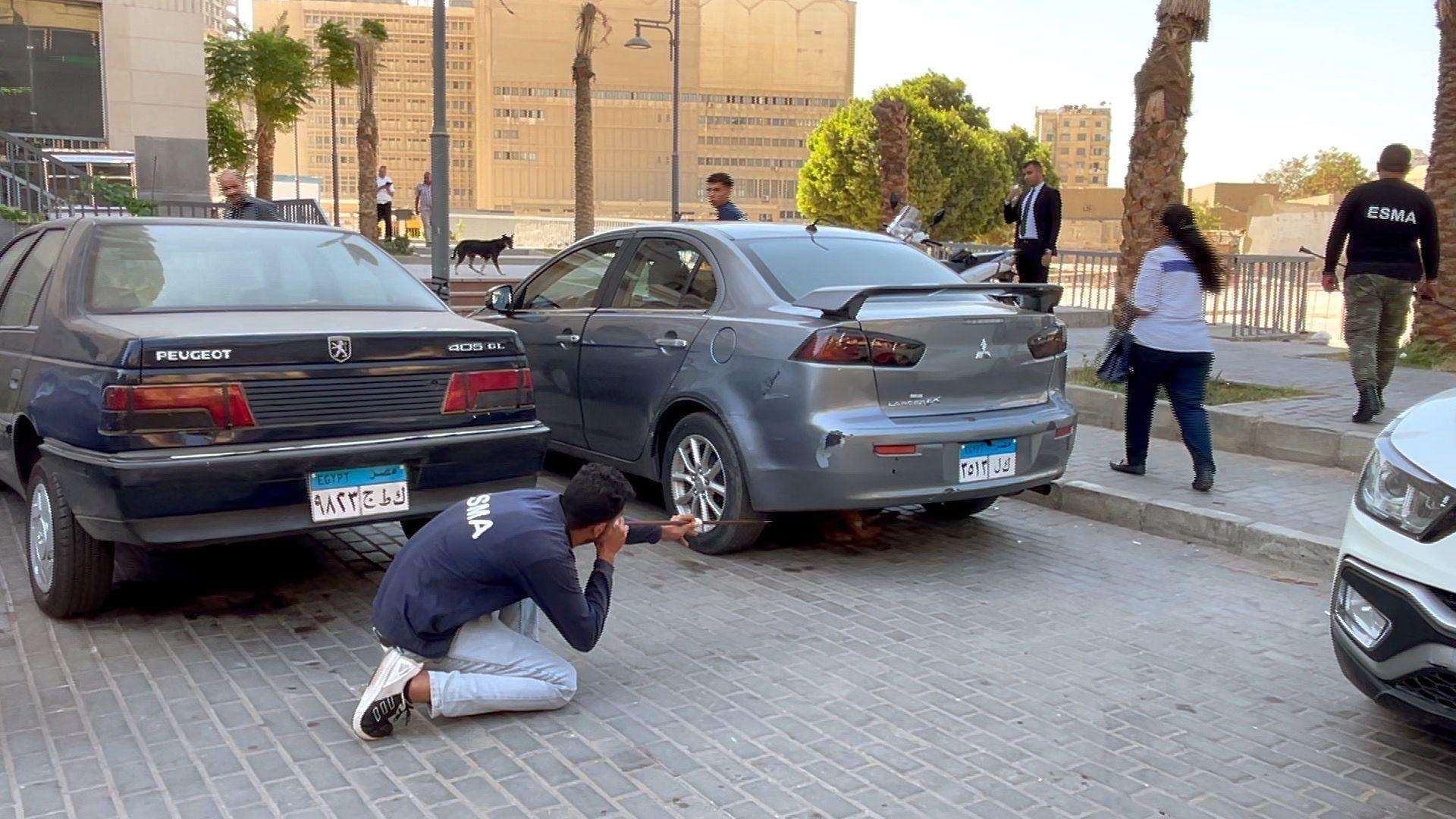 منذ أربع سنوات تترد سامية على حي بولاق أبو العلا بوسط القاهرة لتطعيم الكلاب ضد داء السعار أحد أقدم الأمراض وأكثرها فتكا