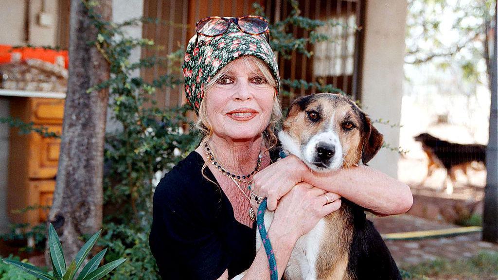 La activista por los derechos de los animales Brigitte Bardot visita su refugio canino "Los Perros Buenos" de Carnoules el 7 de octubre de 2001 en París, Francia. Lleva una cinta de flores en la cabeza y abraza un perro que mira directamente a la cámara.
