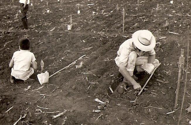 Pessoas abaixadas em uma lavoura