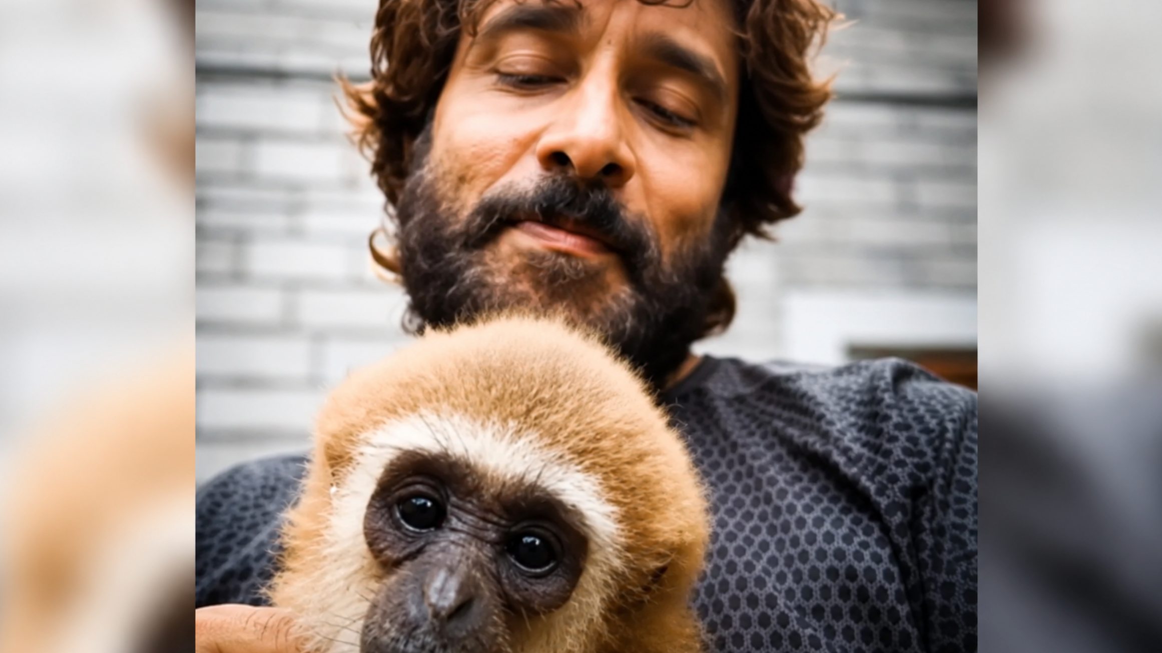 Indian actors video with endangered gibbon sparks investigation