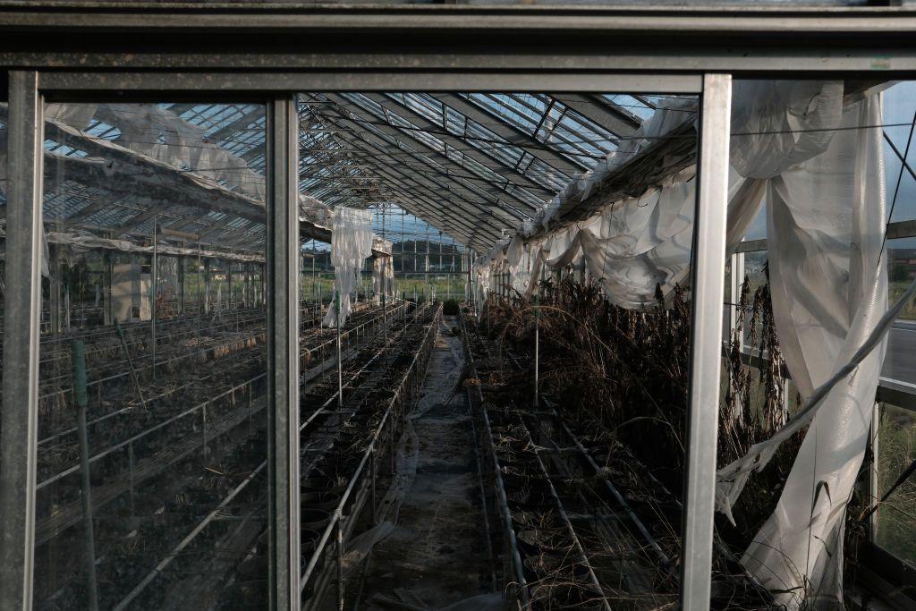 Uma estufa abandonada em Futaba, prov&iacute;ncia de Fukushima, Jap&atilde;o