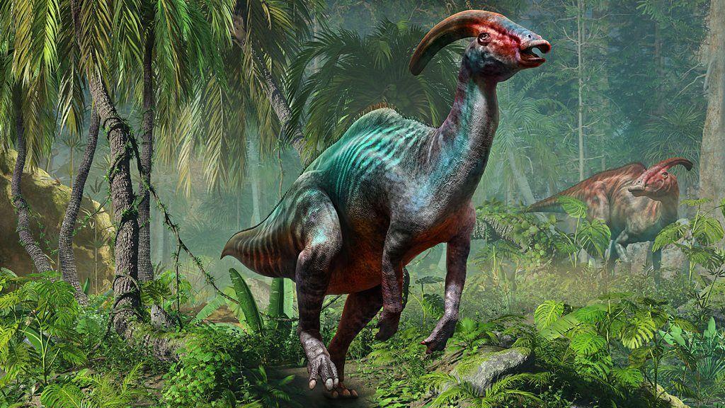 O Parasaurolophus tubicen e sua crista, em representação artística