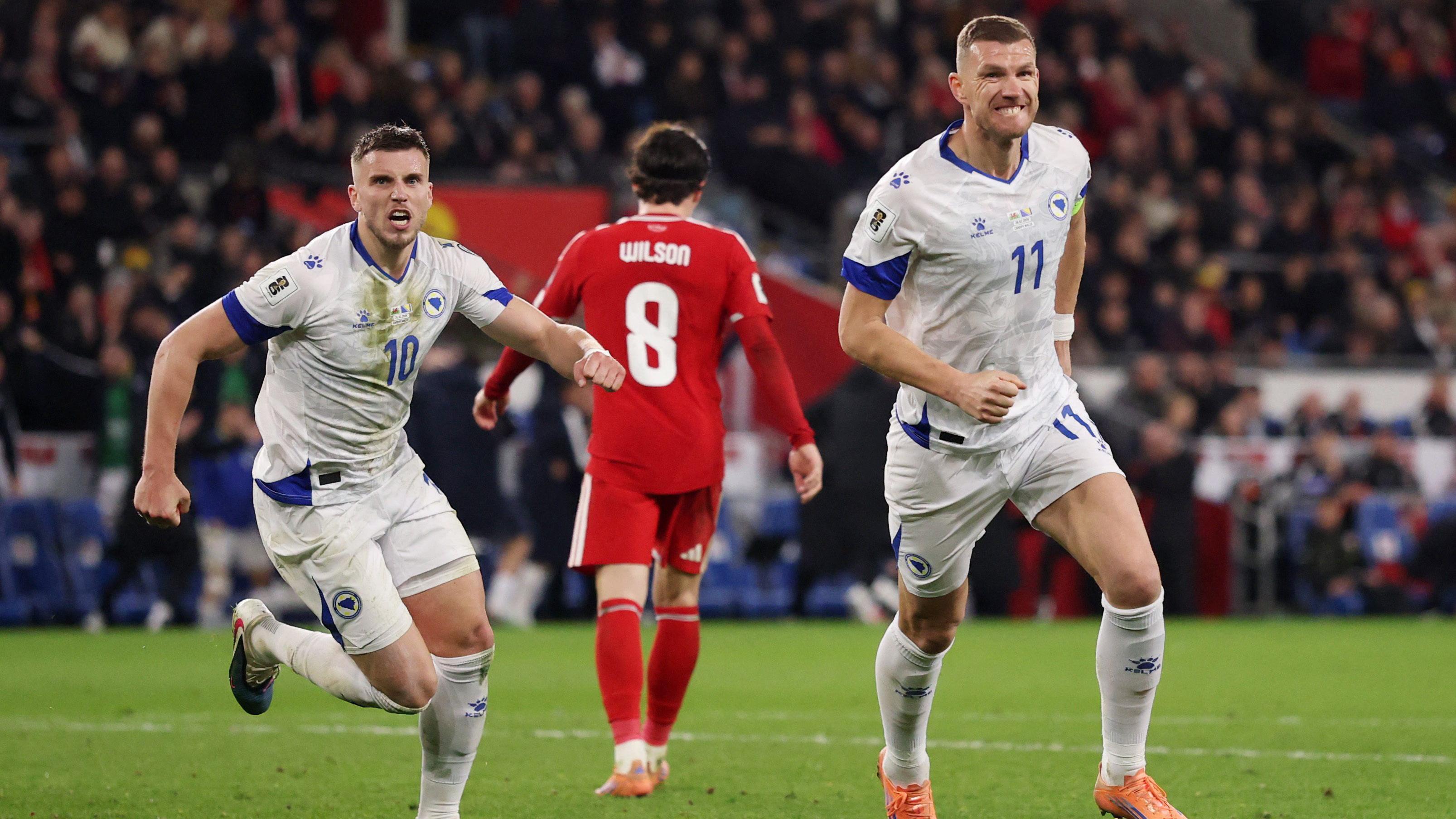 edin džeko, fudbalska reprezentacija bosne i hercegovine