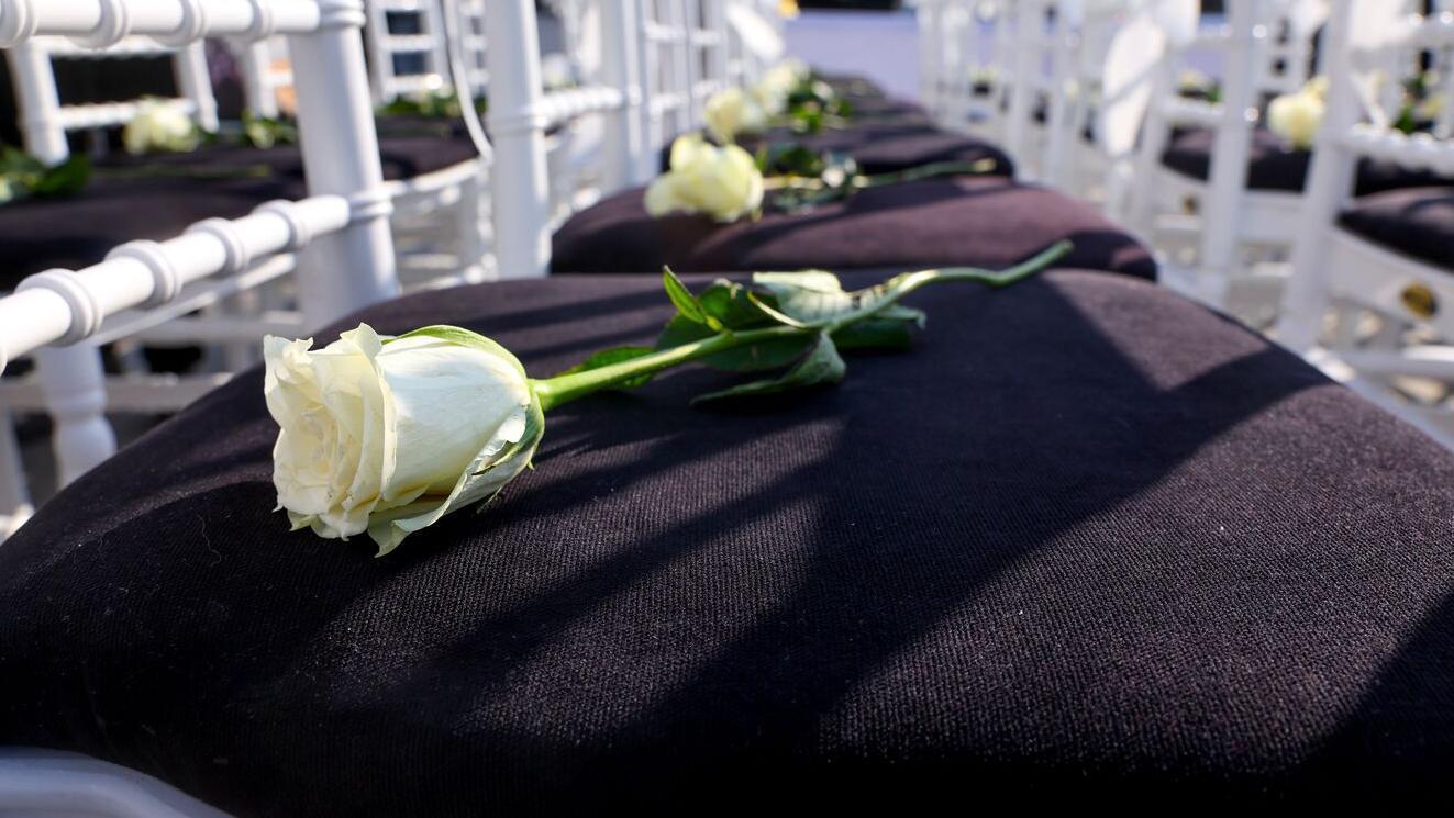 Bela ruža na tamnom sedištu bele stolice 