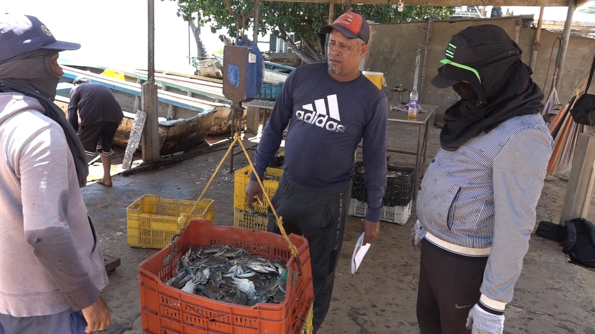 Una cesta llena con cangrejos azules cuelga de una balanza, mientras tres personas observan.
