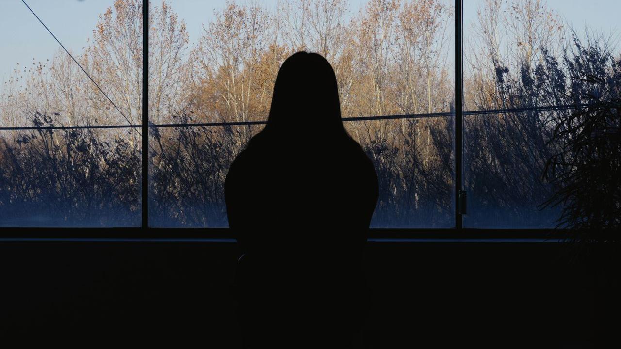 La silueta de una mujer mirando por una ventana, con árboles y follaje al fondo.