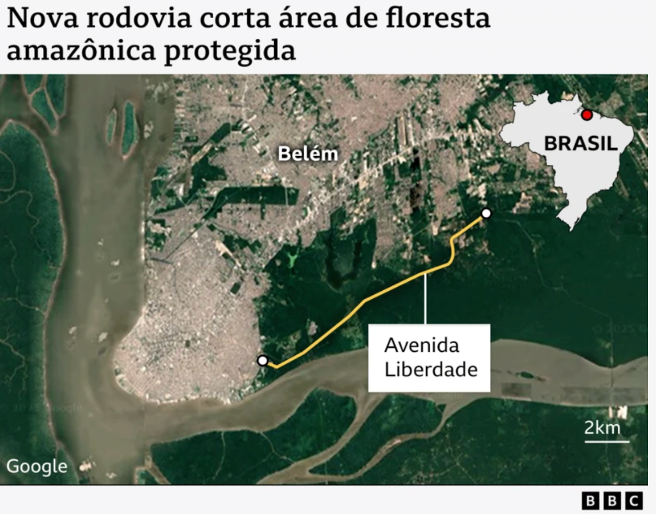 Mapa mostra onde fica a Avenida da Liberdade, cortando pedaço da floresta
