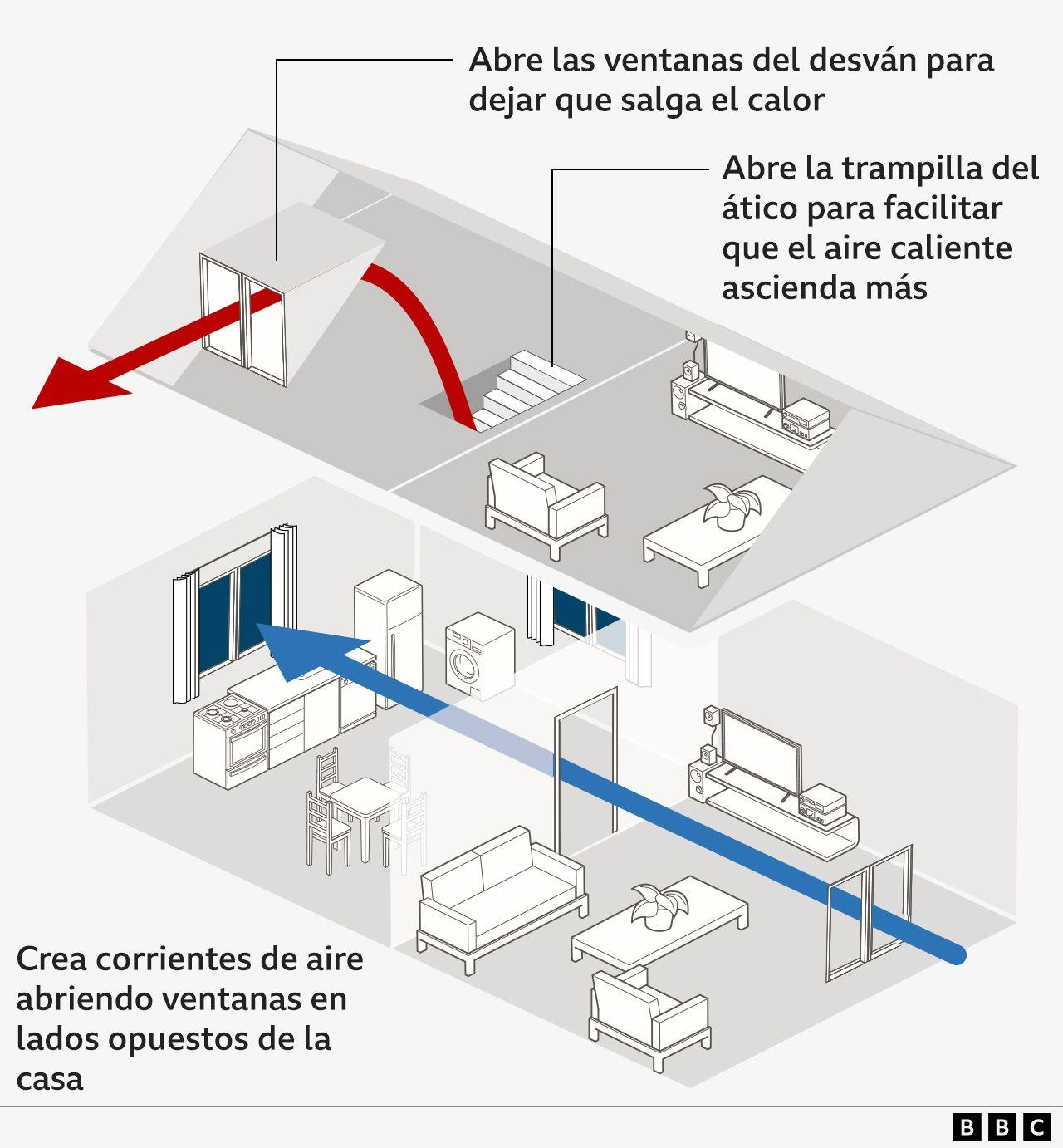 gráfico