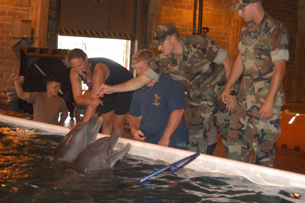 Unos soldados de EE.UU. junto a una piscina donde hay delfines