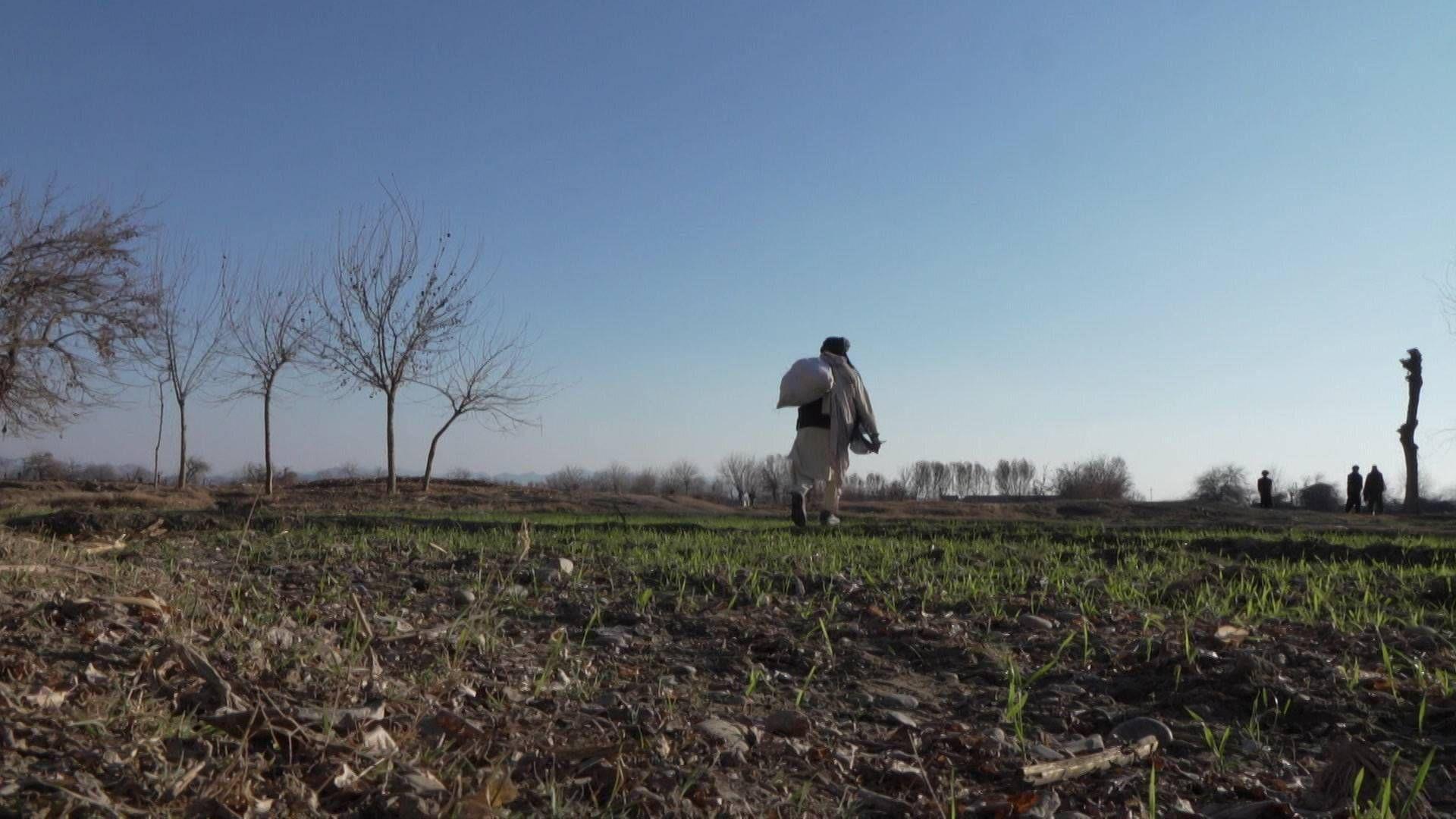 Helmand